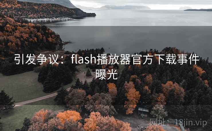 引发争议：flash播放器官方下载事件曝光