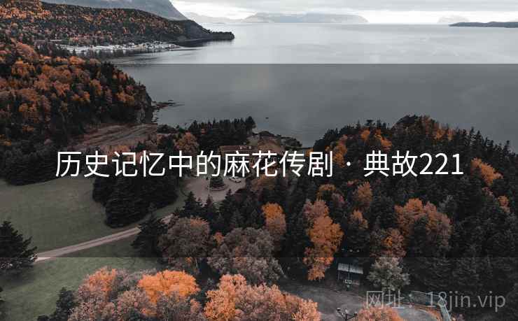 历史记忆中的麻花传剧 · 典故221